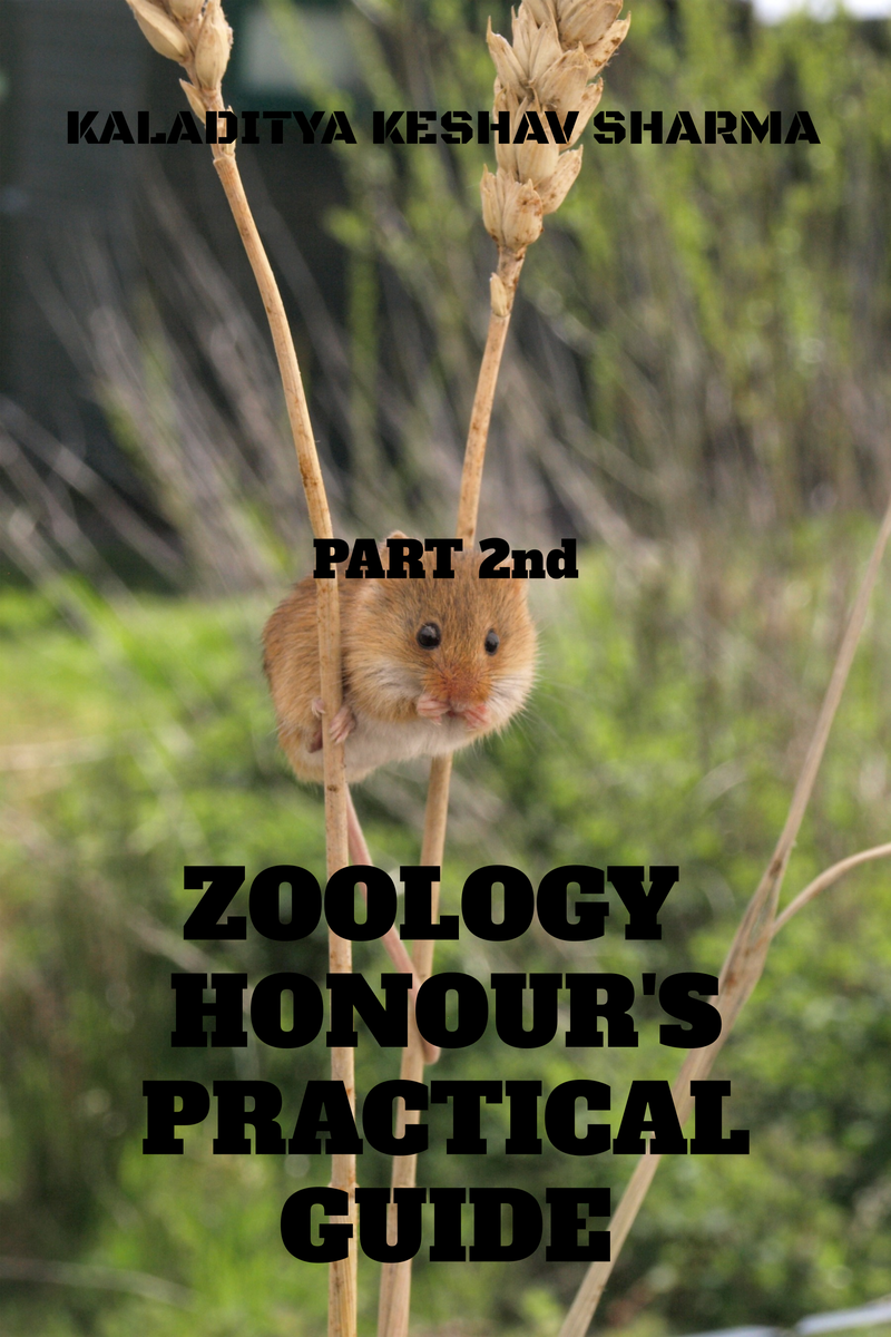ZOOLOGY HONOURS PRACTICAL GUIDE