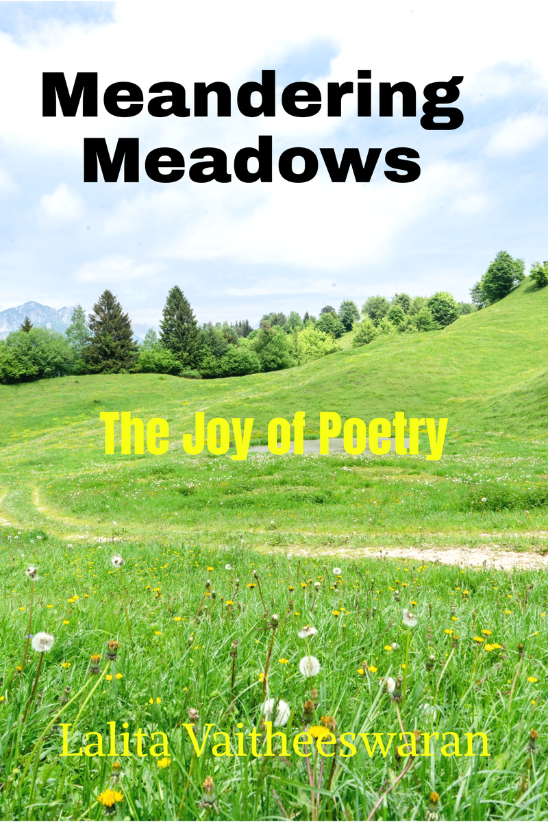 Meandering Meadows