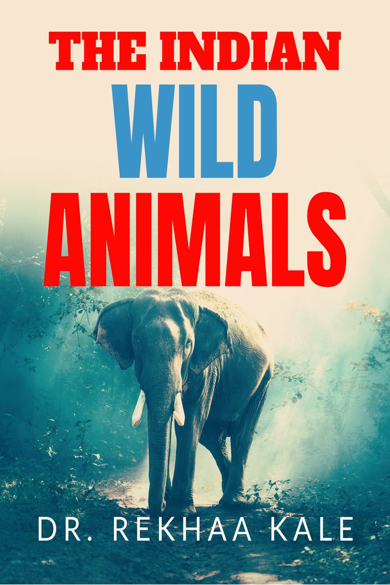 Indian Wild Animals Painting book