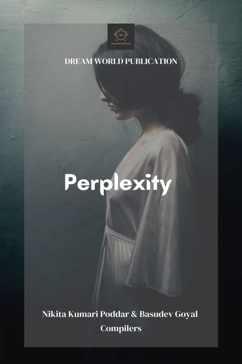 PERPLEXITY