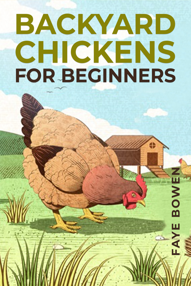 BACKYARD CHICKENS FOR BEGINNERS