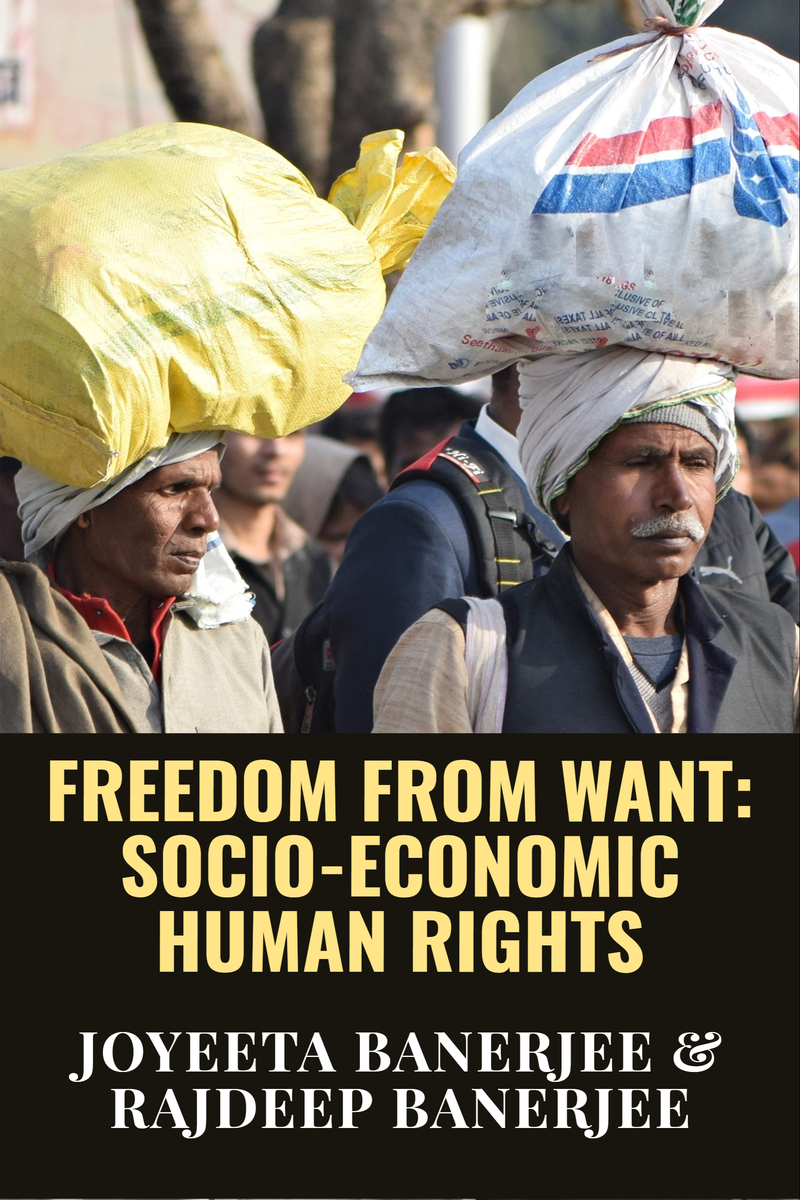 Freedom From Want Socio Economic Human Rights 