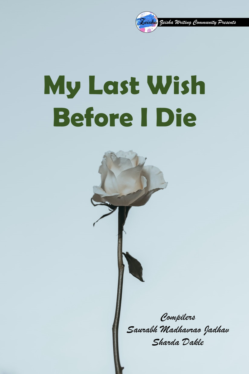 Before I Die 