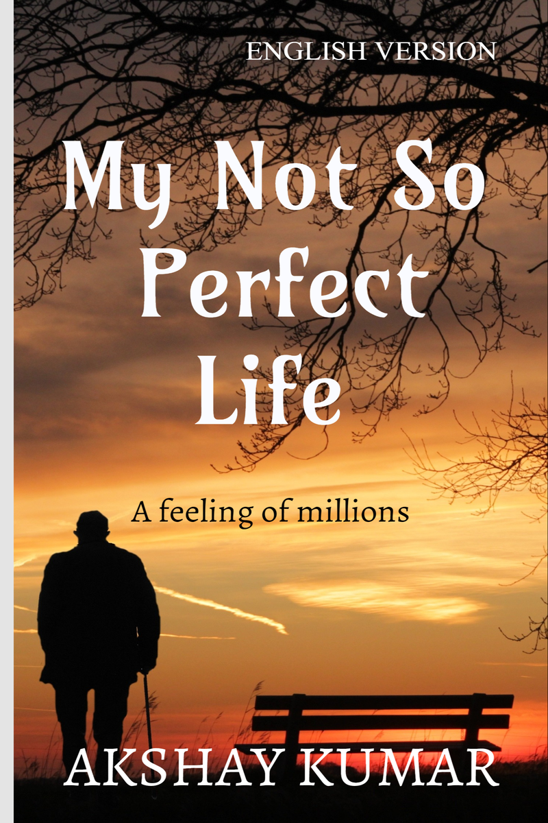 not so perfect life