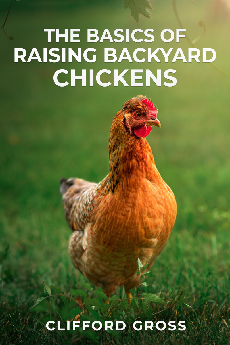 THE BASICS OF RAISING BACKYARD CHICKENS