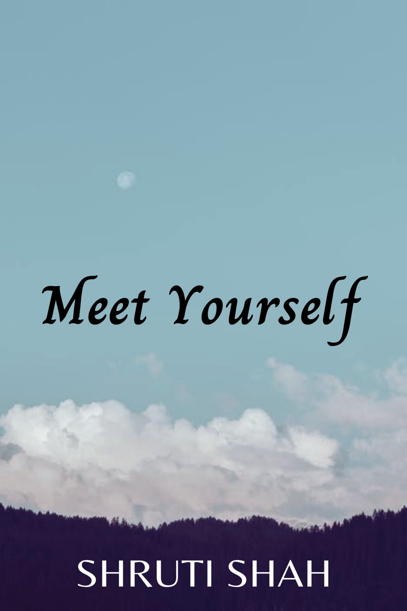 Meet Yourself