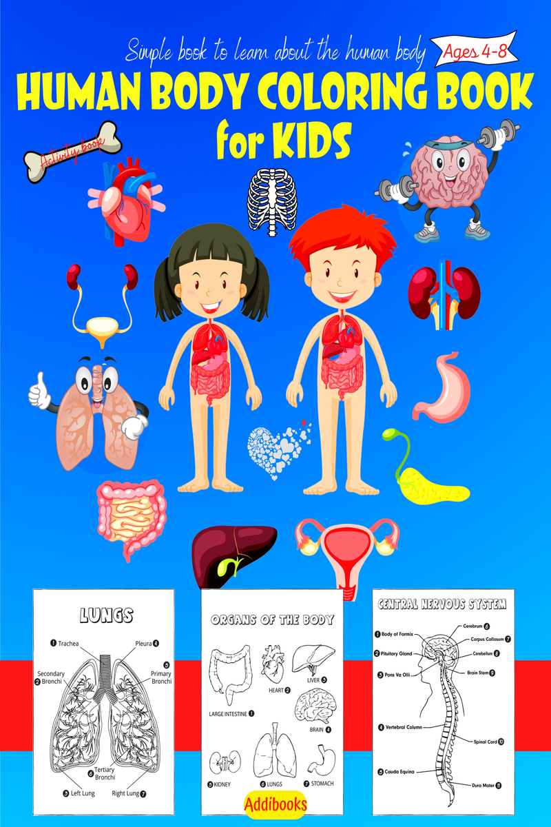 Human Body Coloring | Simple Book to Learn About the Human Body