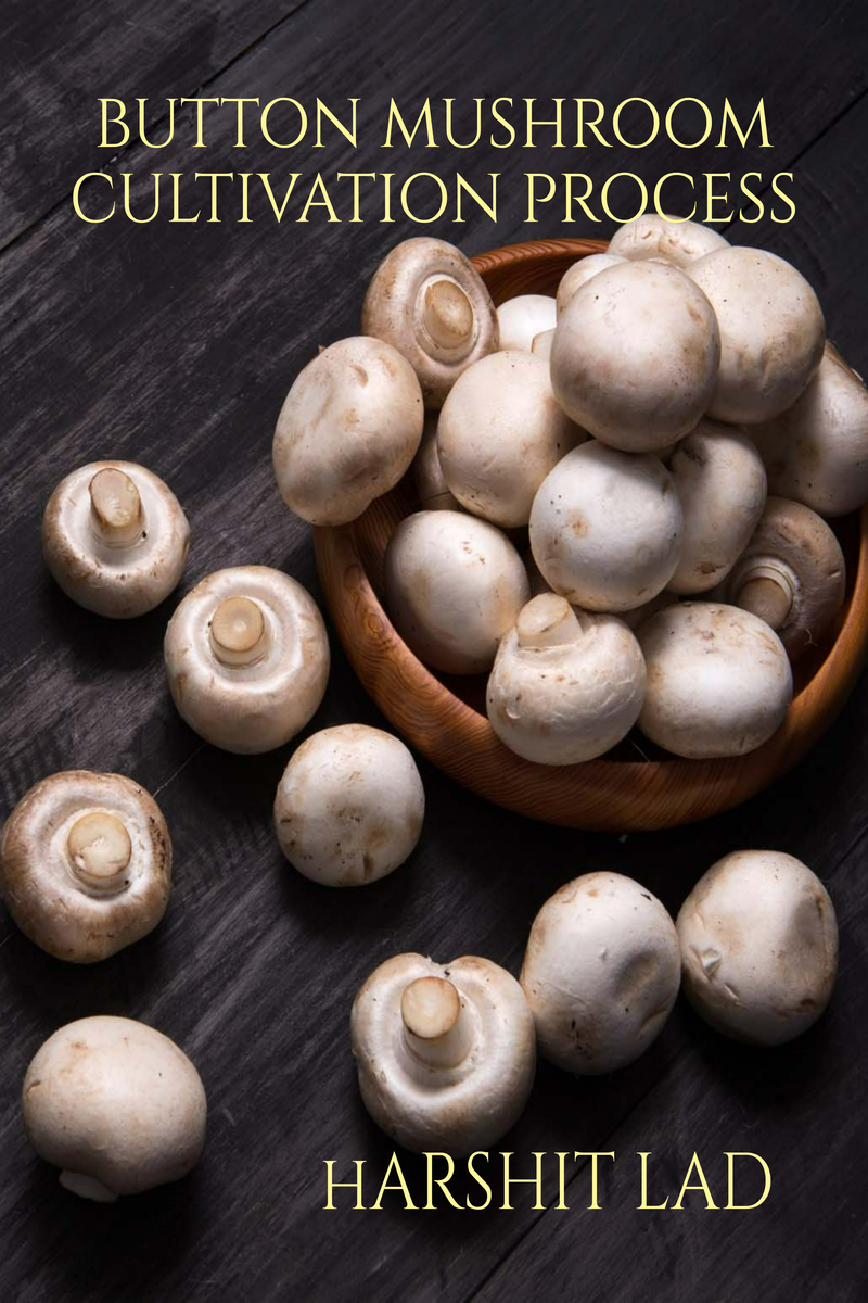 AZ Button Mushroom Cultivation Process