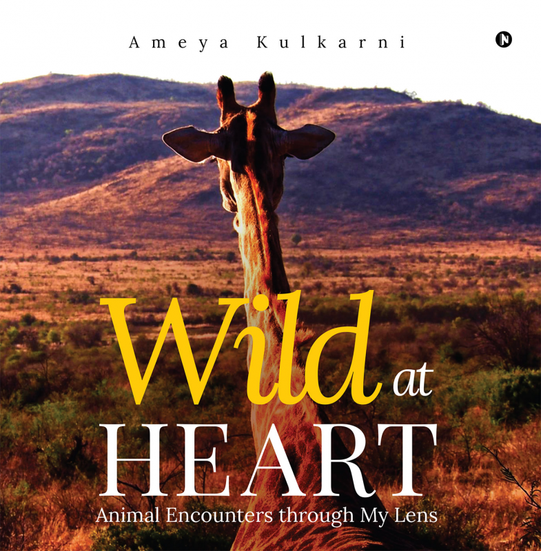 wild at heart book guote