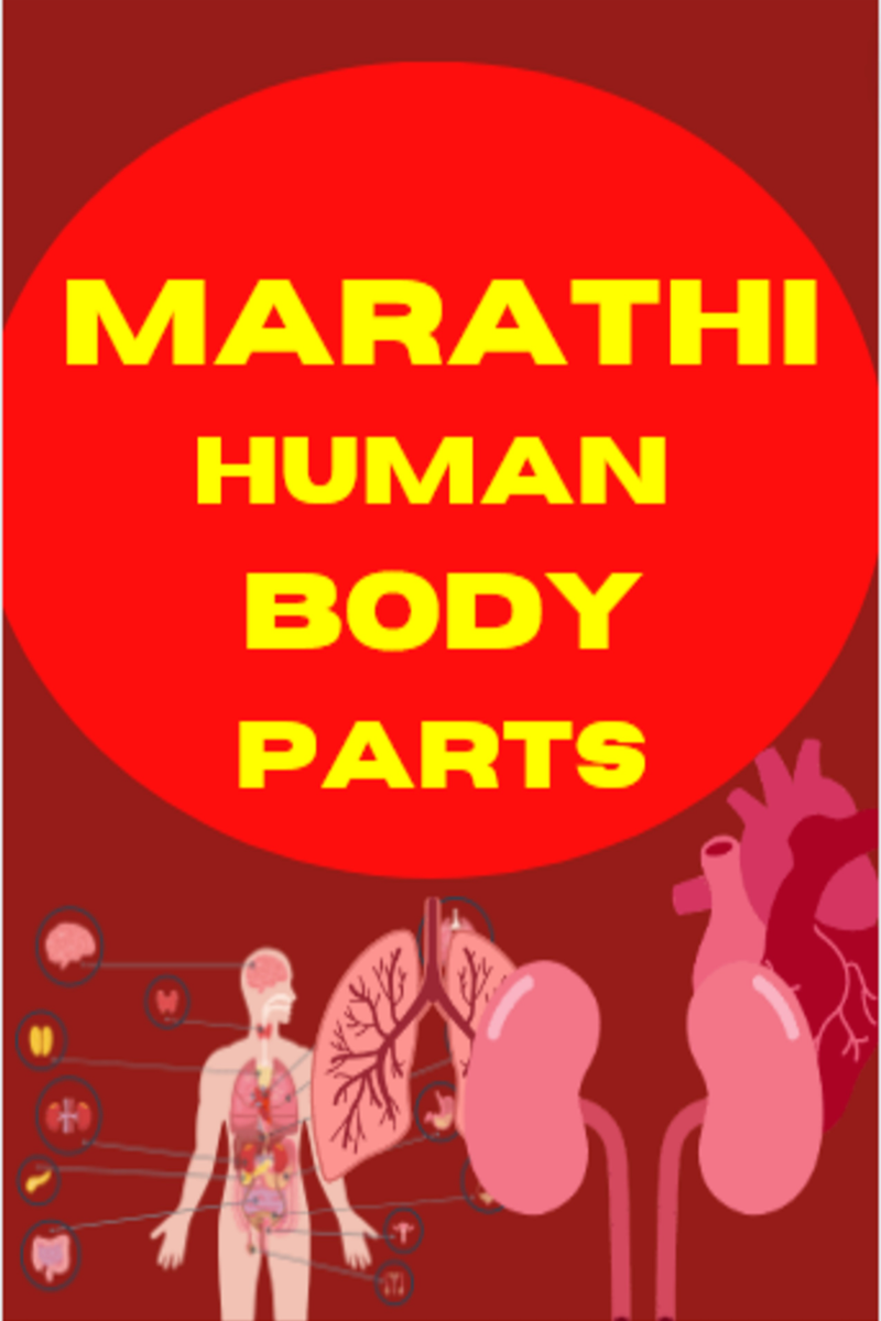 marathi-human-body-parts-book