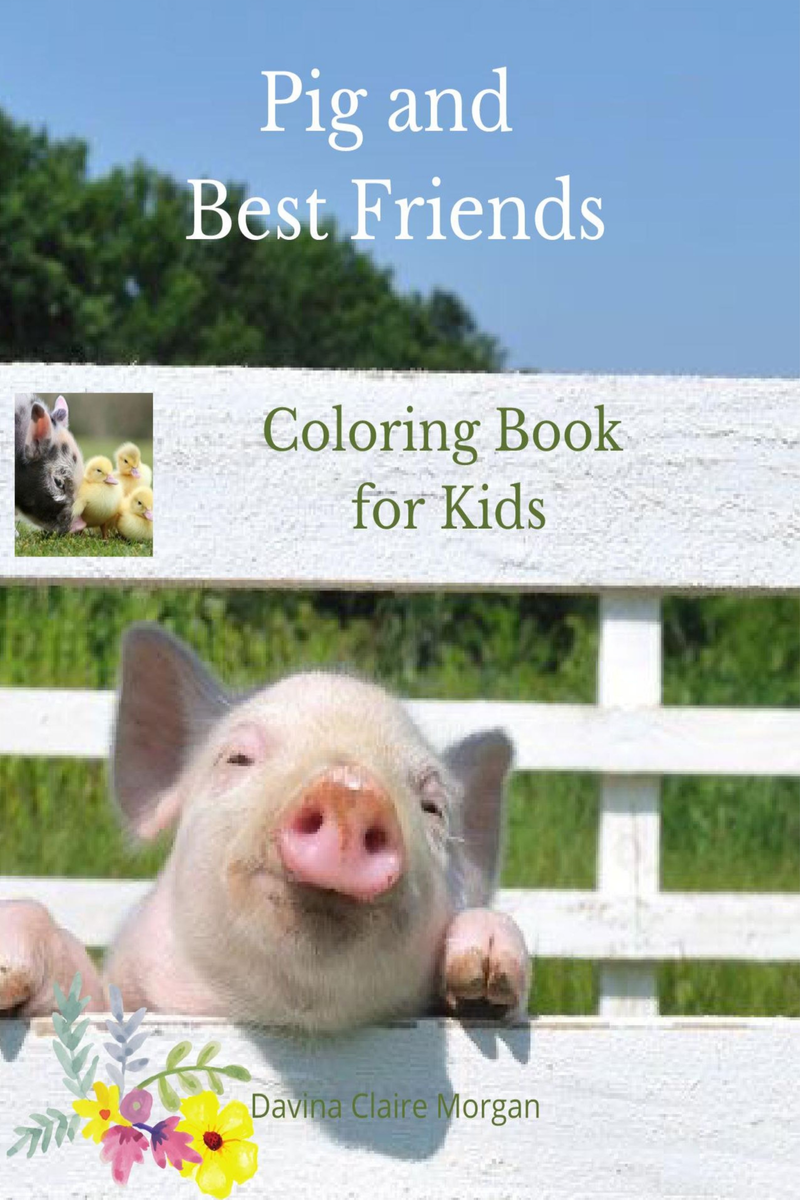 Animal Coloring Books Kids: Silly Animal Coloring Book For Kids Aged 3-8  Best Gift for your Kids With This Ages Large coloring Book with 8.5x11 in  (Paperback)