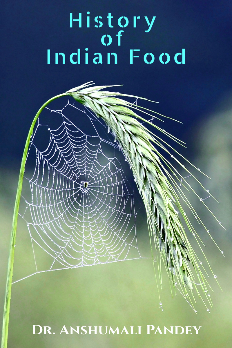 History of Indian Food