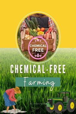 Chemical-Free  Farming