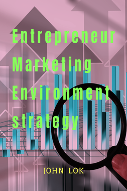 Entrepreneur Marketing Environment Strategy