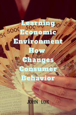 Learning Economic Environment How Changes Consumer Behavior