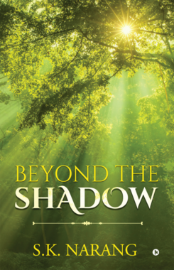 Beyond the Shadow