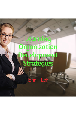 Learning Organization Development Strategies