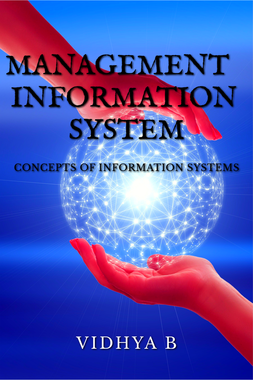 MANAGEMENT INFORMATION SYSTEM