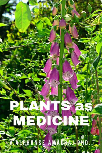 PLANTS as MEDICINE