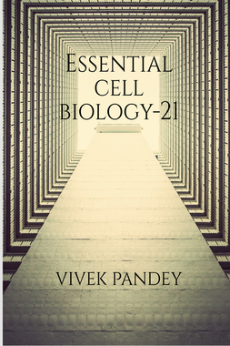 Essential cell biology-21(color)