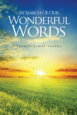 IN SEARCH OF OUR WONDERFUL WORDS